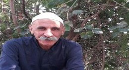 غرائز اللئام