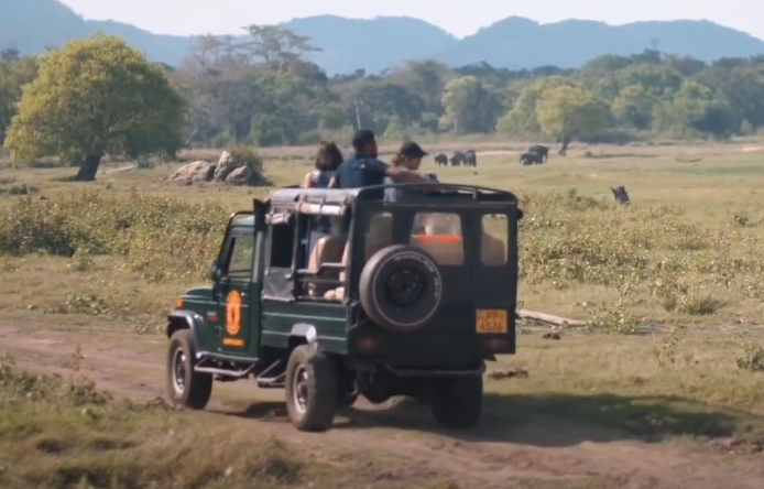 سريلانكا من أجمل الوجهات السّياحية جنوب آسيا... تجربة سياحية مليئة بالمغامرات التاريخ والثقافة