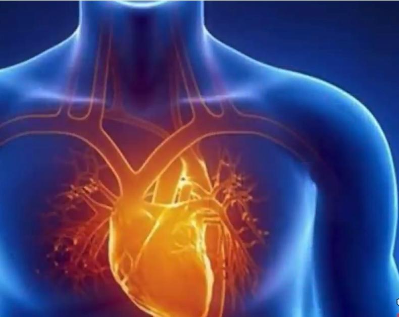 قواعد بسيطة بهدف المحافظة على صحة القلب والأوعية الدّموية