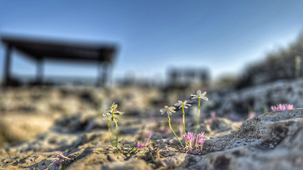  يوم الأحد، لا تغييرات كبيرة على درجات الحرارة