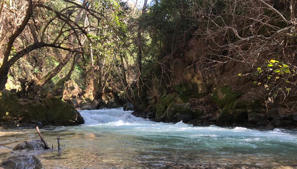 حالة الطقس: أجواء مستقرة ودافئة نهارًا وغائمة وباردة ليلًا