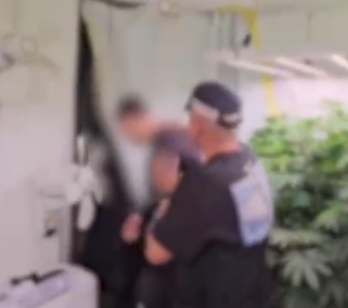 لائحة اتهام ضد زوجين من العفولة وشخص ثالث بشبهة زراعة وترويج المخدرات