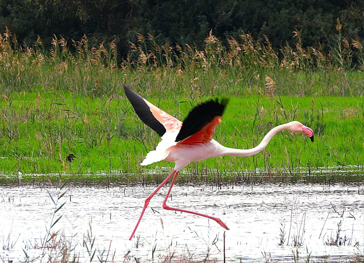 حالة الطقس : لن يطرأ تغير يذكر على الأجواء وعلى درحات الحرارة