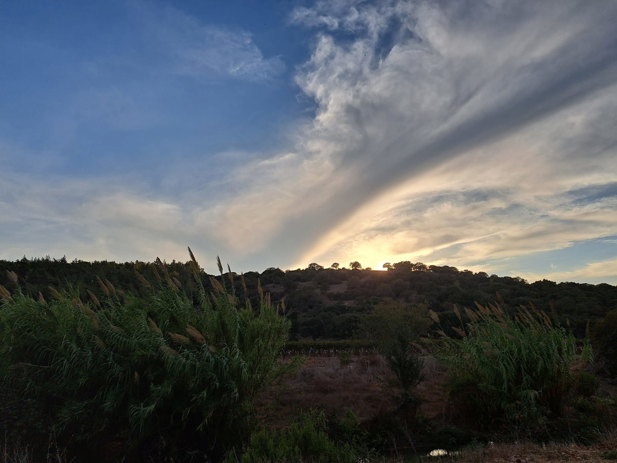 حالة الطّقس: أجواء غائمة جزئيًا باردة 