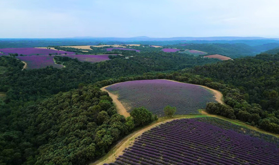 من حقول اللافندر إلى القرى الجبلية: جولة سياحية في بروفانس الفرنسية