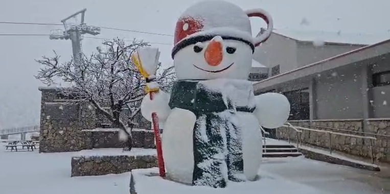 جبل الشيخ:تساقط الثلوج بغزارة منذ صباح اليوم وتراكم أكثر من 5 سنتمتر من الثلج في القسم السفلي