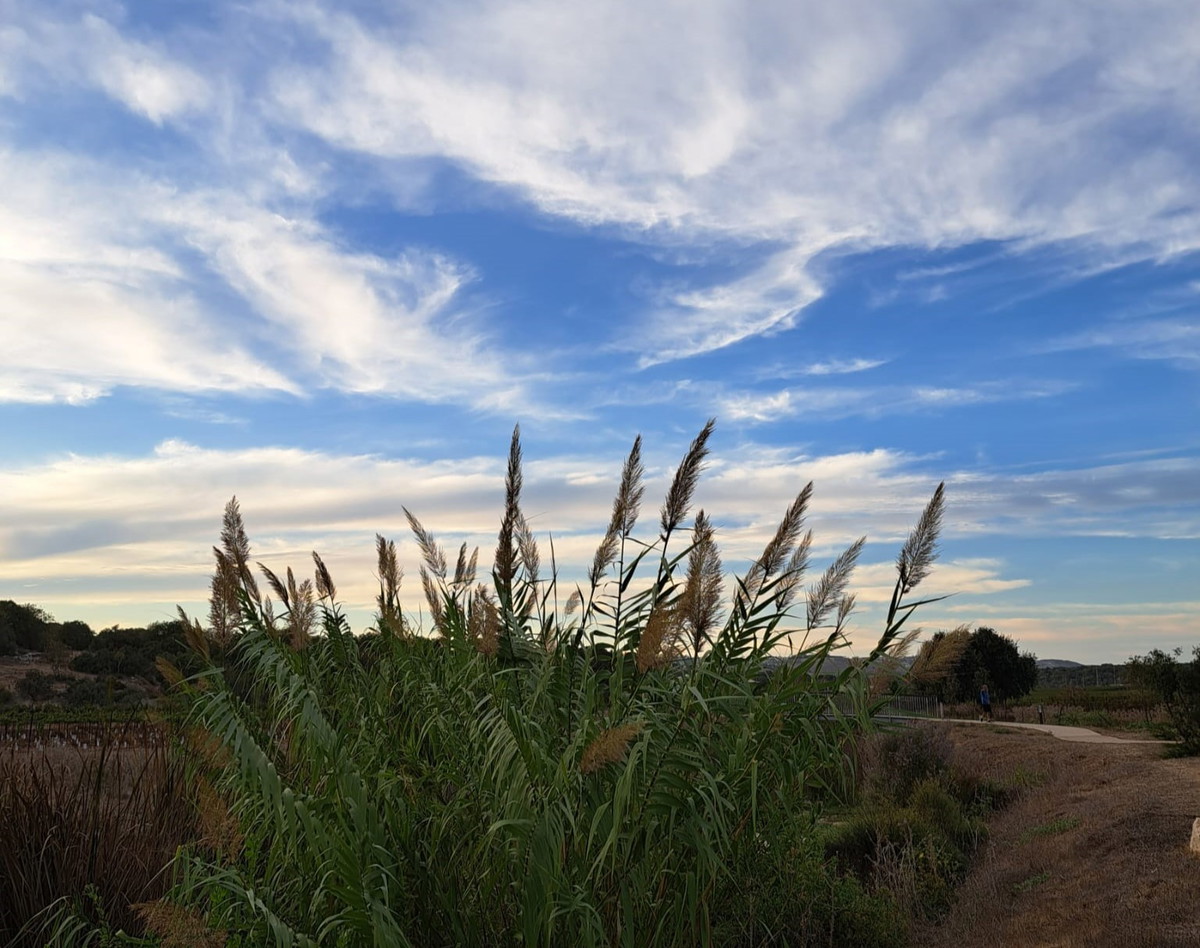 حالة الطّقس: أجواء غائمة ويطرأ ارتفاع على درجات الحرارة