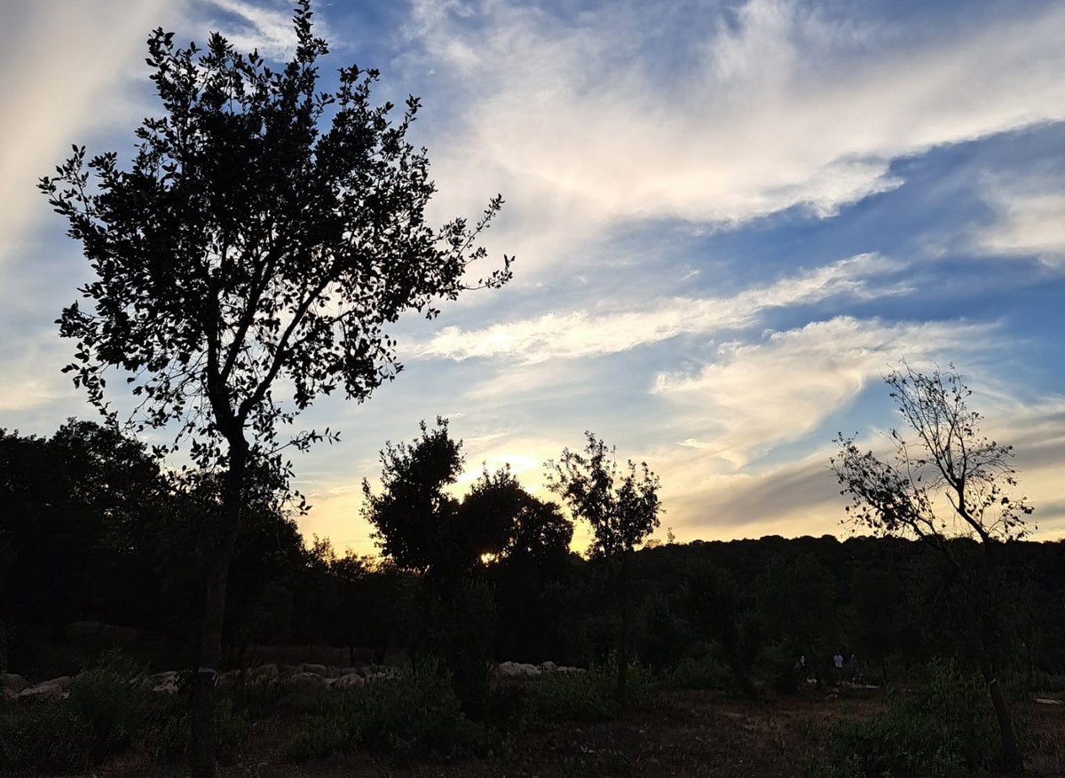 حالة الطّقس: أجواء غائمة جزئيًا ولا يطرأ تغيير يذكر على درجات الحرارة