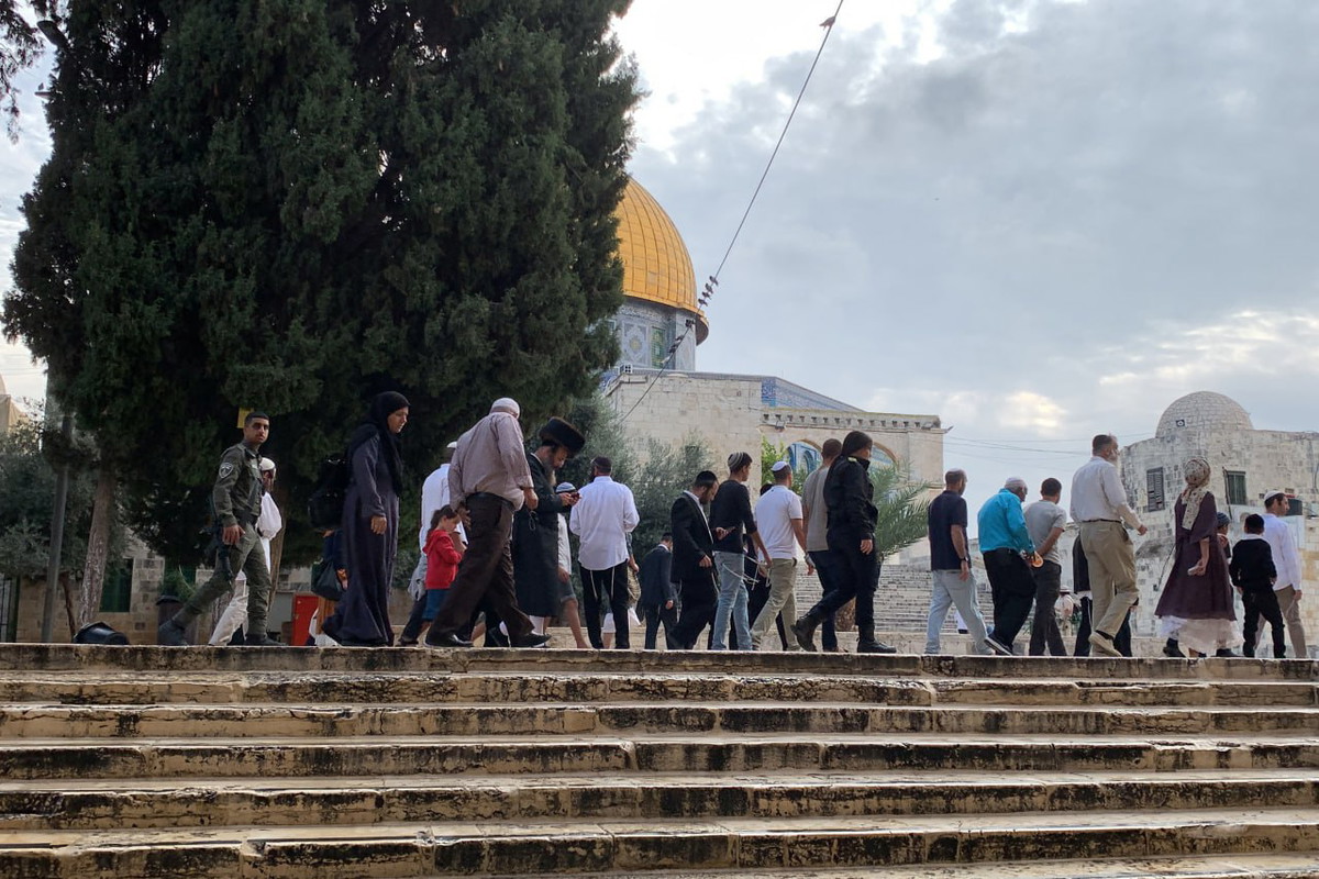 وسط حماية معززة- عشرات المستوطنين اقتحموا الحرم القدسي الشريف والمنطقة المحيطة به