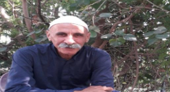 سيّده القصر 