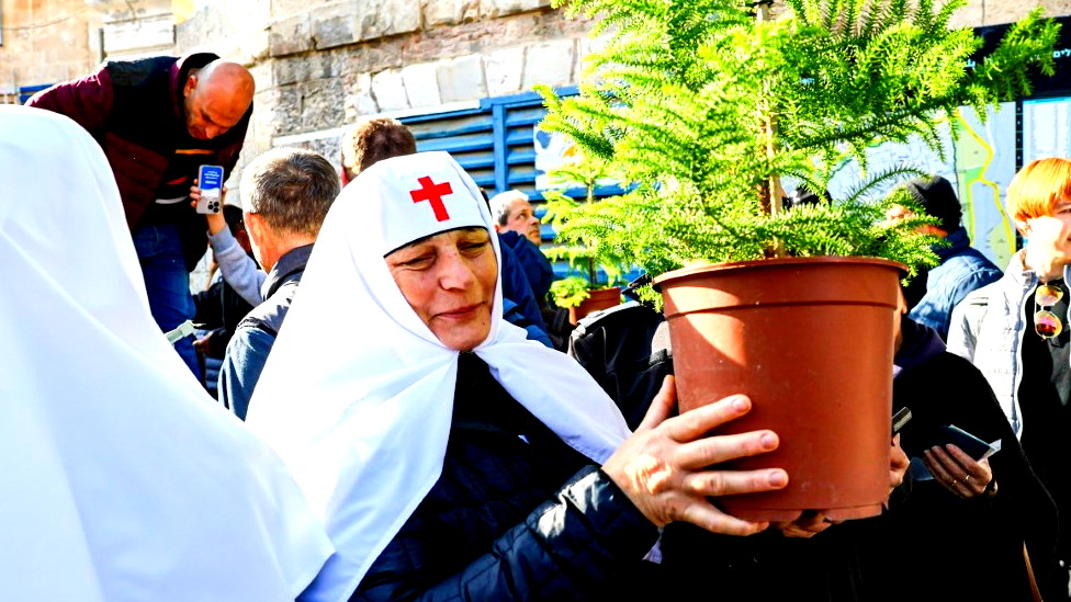 بلدية القدس توزع أشجار السرو بمناسبة عيد الميلاد المجيد على مئات العائلات المسيحية المحتفلة بالعيد