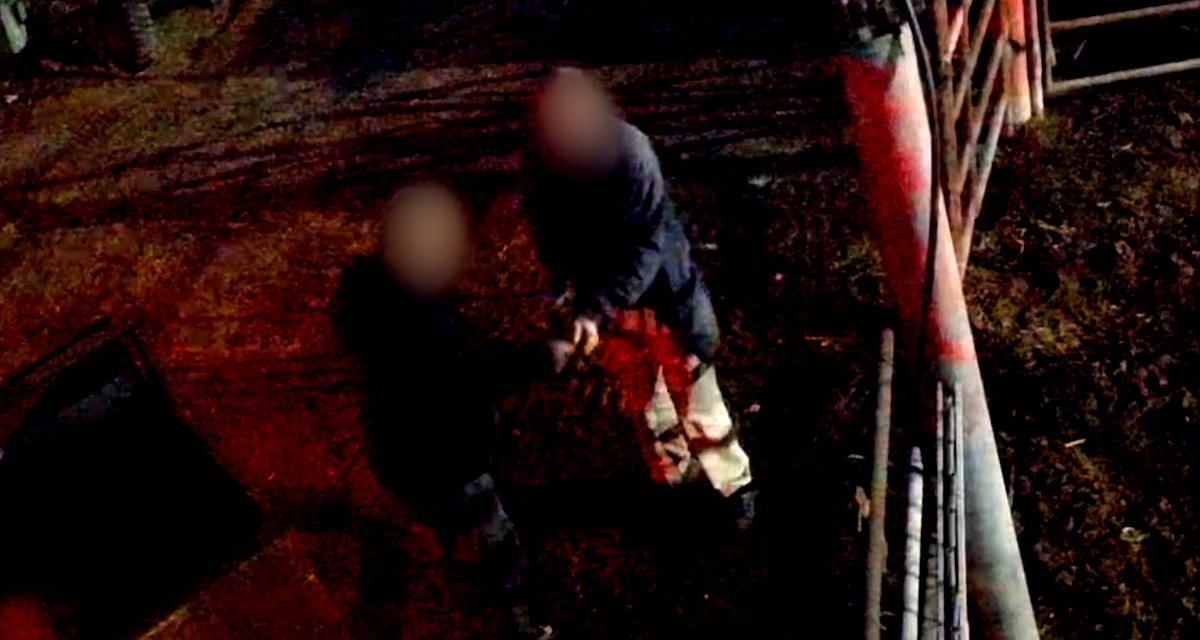 اتهام 3 مواطنين من أم الفحم بسرقة أبقار بقيمة مئات الآف الشواقل وتهريبها إلى الضفة 