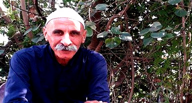 الأخطبوط وشبكه العنكبوت 