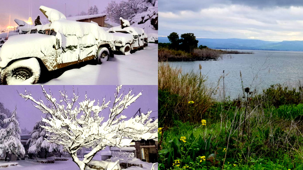 أمطار الخير| الثّلوج تكسو قمّة جبل الشّيخ وترتفع لأكثر من 60 سم... وارتفاع ملحوظ على منسوب المياه في بحيرة طبريا