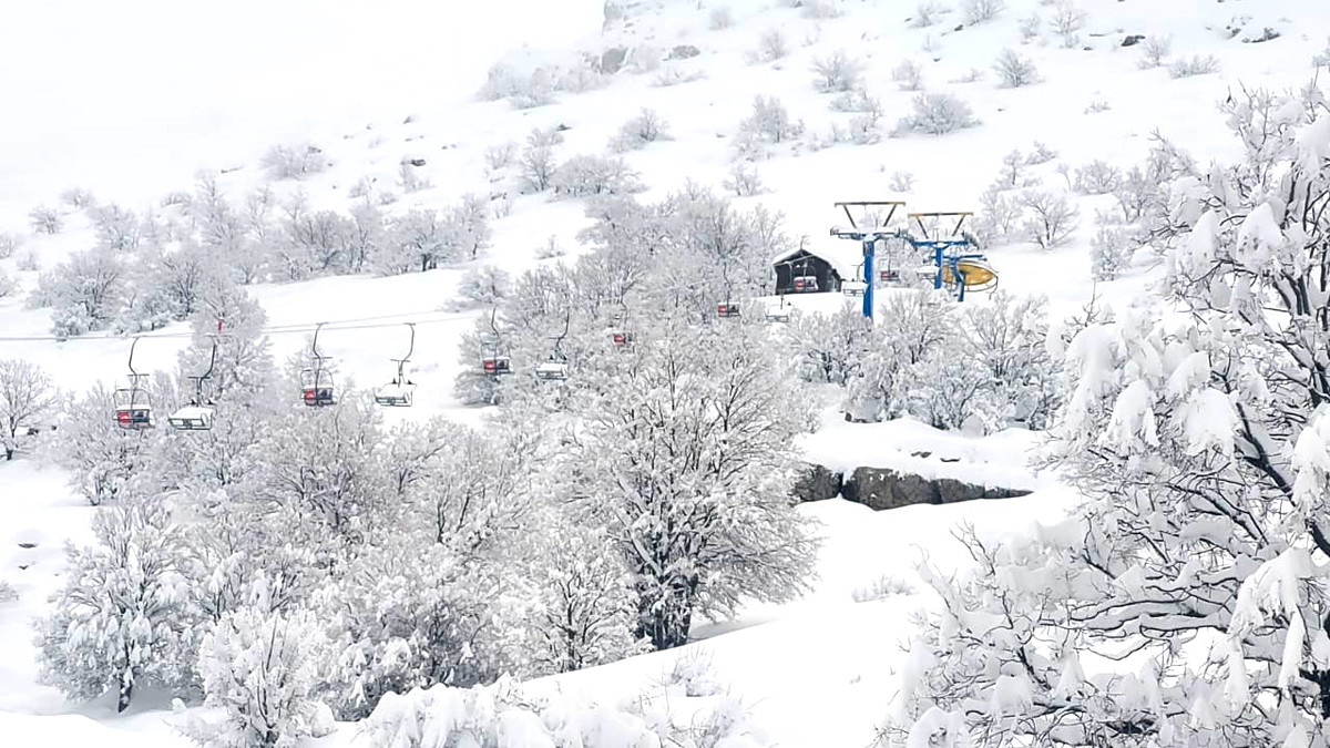 حالة الطقس: يتواصل تأثير المنخفض الجويّ على البلاد... أمطار وأجواء شديدة البرودة