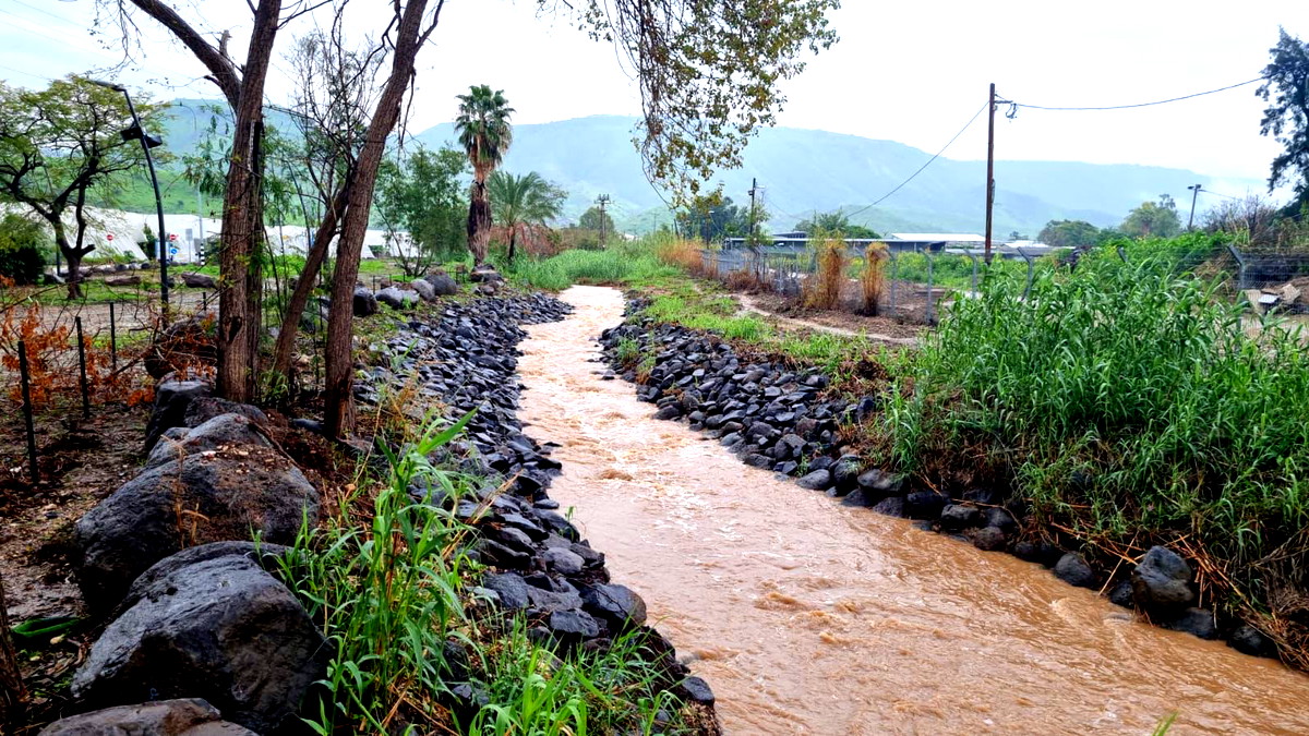 مع استمرار تأثير المنخفض الجوي- أمطار الخير تنعش الوديان في مناطق البلاد كافة