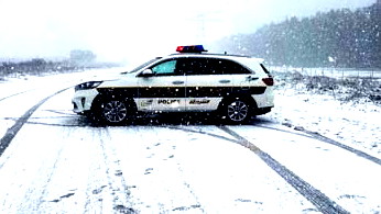 العثور على ثعلب مصاب بداء الكلب في بلدة "مجدل شمس" في "رامات هچولان"