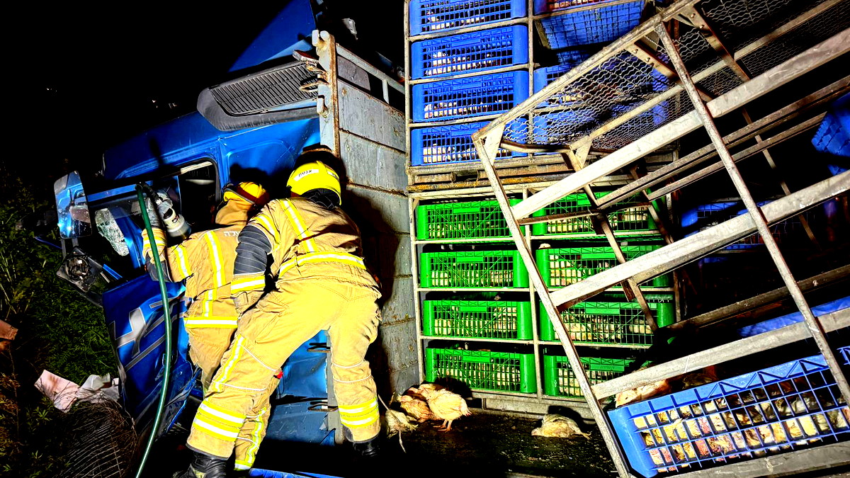 فيديو- انقاذ شخص علق داخل شاحنة نقل دواجن بعد تعرضه لحادث سير