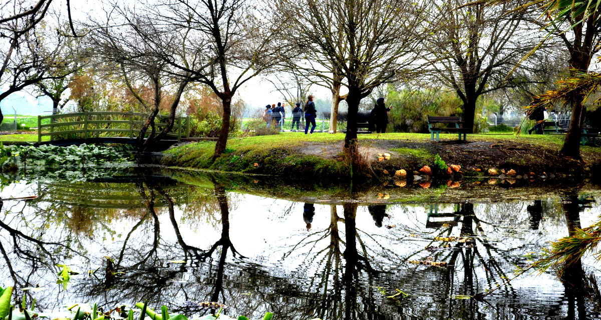 بحيرة الحولة