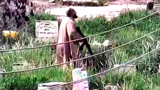 الخليل: ارتقاء إمام مسجد برصاص الجيش بزعم إطلاقه النار على الحي اليهودي