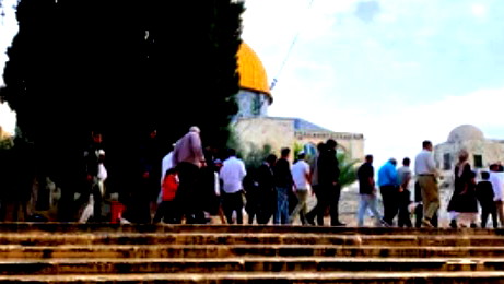 وسط دعوات للحشد والرباط- عشرات المستوطنين يقتحمون المسجد الاقصى والمنطقة المحيطة به منذ ساعات الصباح