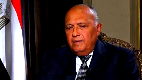 وزير الخارية المصري شكري: يتعين على الولايات المتحدة أن توضح لإسرائيل عواقب عملية رفح