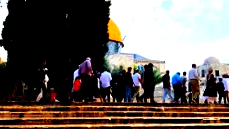 وسط دعوات للحشد والرباط- 211 مستوطنًا يقتحمون المسجد الاقصى والمنطقة المحيطة به منذ ساعات الصباح