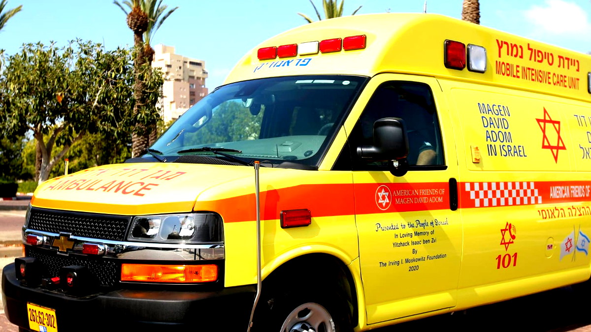 عسفيا: إصابة سيدة (77 عامًا) بجروح متوسطة حتى خطيرة بعد تعرضها لعضة كلب