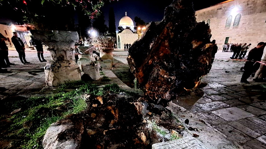القدس: اصابة عدة اشخاص اثر سقوط شجرة ضخمة بساحة المسجد الاقصى 