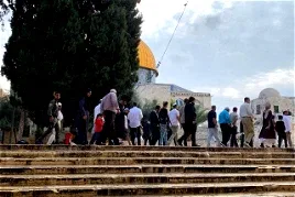 بعد انقطاع دام 16 يومًا- عشرات المستوطنين يقتحمون المسجد الأقصى المبارك والمنطقة المحيطة به