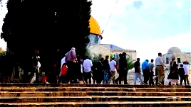 بعد انقطاع دام 16 يومًا- عشرات المستوطنين يقتحمون المسجد الأقصى المبارك والمنطقة المحيطة به