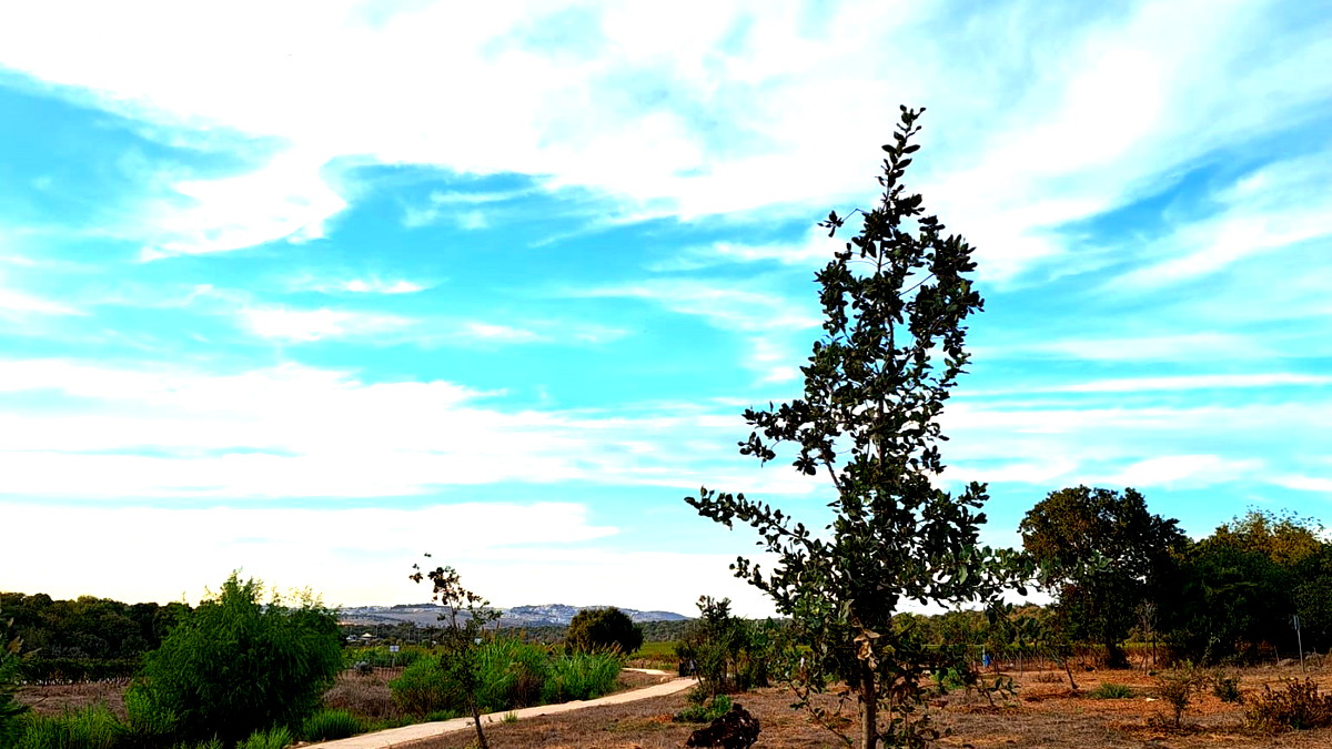 حالة الطقس: درجات الحرارة في ارتفاع مستمر... أجواء معتدلة وغائمة جزئيًا 