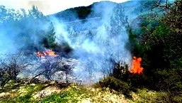 سلطة الاطفاء والانقاذ تناشد المواطنين اتخاذ الحيطة والحذر وعدم اشعال النيران في ظل موجة الحر التي تسود البلاد