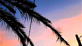 حالة الطّقس: يكون الجو غائمًا جزئيًا وحارًّا نسبيًّا، يطرأ انخفاض ملموس على درجات الحرارة مع بقائها أعلى من معدلها العام