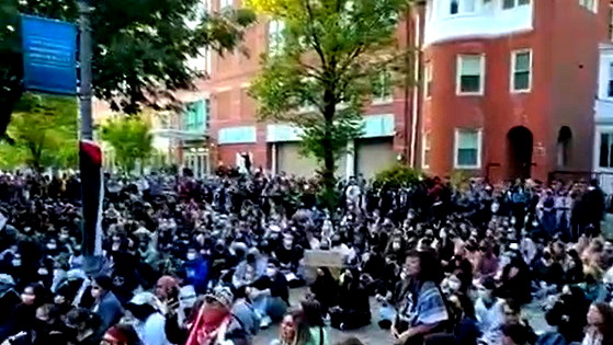  بعد الجامعات الامريكية... احتجاجات في جامعات وعواصم اوروبية دعمًا لغزة