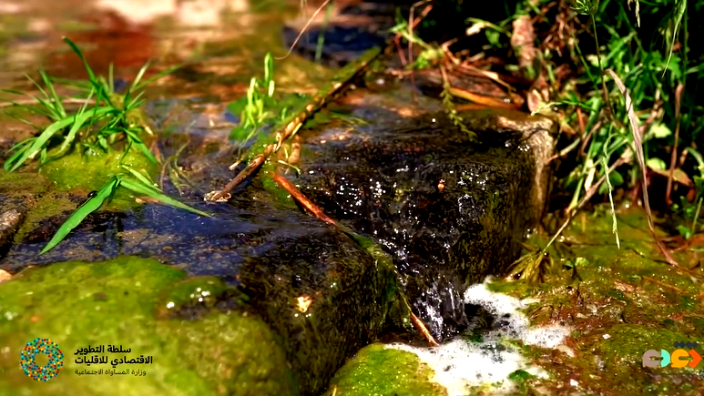 سلطة التطوير الاقتصادي وضمن الخطة الخمسية "تقدّم" تدعم السلطات المحلية العربية لمشاريع في المناطق المفتوحة