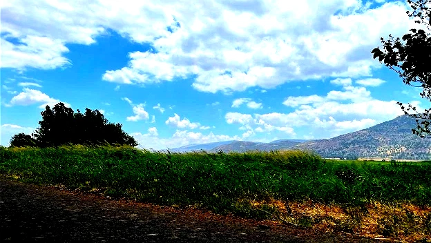 حالة الطّقس: أجواء غائمة جزئيًا وسقوط زخات متفرّقة من الأمطار في بعض المناطق... يطرأ انخفاض على درجات الحرارة مع بقائها أعلى من معدلّها العام بقليل