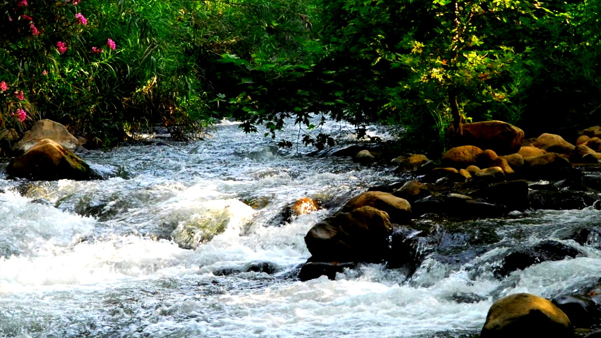  تلوّث حاد في الجداول في شمال البلاد