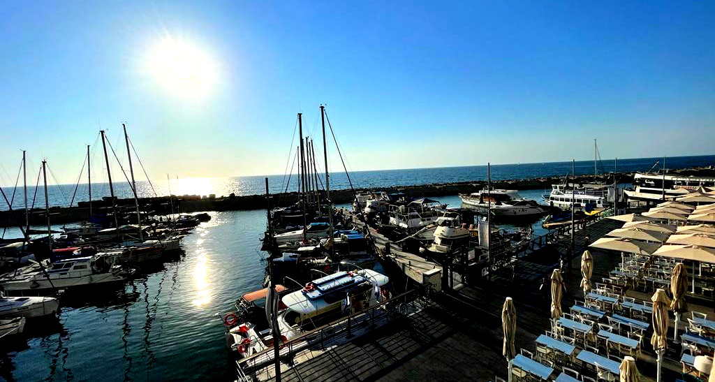 حالة الطقس: أجواء صافية ومعتدلة ولا يطرأ تغيير يُذكر على درجات الحرارة 