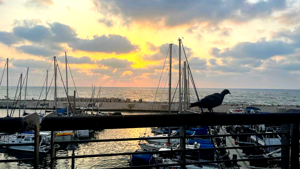 حالة الطقس: اجواء غائمة جزئيًا وباردة... يطرأ انخفاض على درجات الحرارة