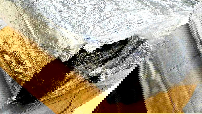 جسر الزرقاء: اعتقال شابين (25 عامًا) بشبهة حيازة كمية كبيرة من الحشيش- ضبط داخل جورب