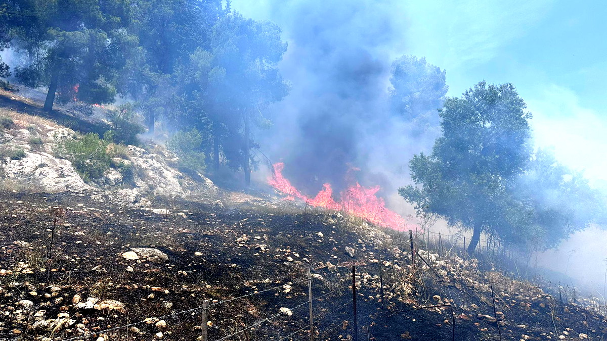 محذّرة من اشعال النيران بسبب الأحوال الجوية- طواقم الإطفاء والإنقاذ تعمل على إخماد حريق شبّ بمنطقة مفتوحة بالشّمال 