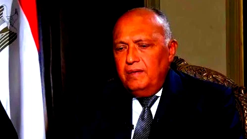 في اتصال مع بلينكن.. وزير الخارجية المصري يحذر من "مخاطر أمنية جسيمة" لعمليات إسرائيل في رفح