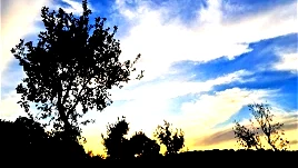 حالة الطّقس: أجواء حارّة نسبيًّا ويطرأ ارتفاع ملموس على درجات الحرارة لتصبح أعلى من معدّلها السّنوي العام