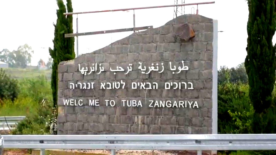 العثور على كلب ضال مصاب بداء الكلب في طوبا زنغرية