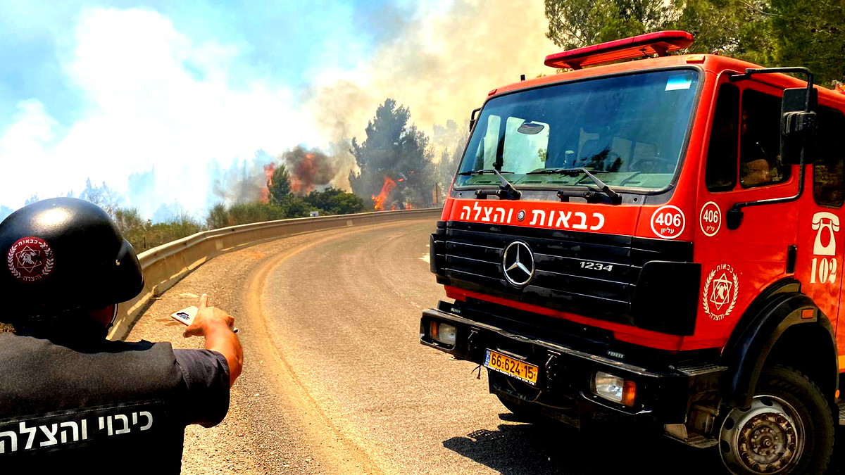 فيديو: طواقم الإطفاء والإنقاذ تعمل على اخماد حريق شب في احراش بمنطقة ريخس رميم شمال البلاد