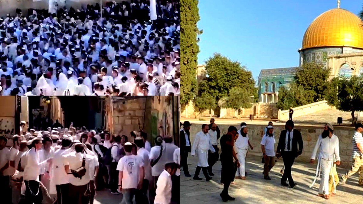 الخارجية الأردنية تدين اقتحام وزير إسرائيلي وعضو في الكنيست المسجد الأقصى