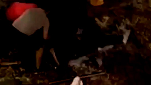 فيديو| المكسيك: مصرع 3 اشخاص واصابة 16 آخرين جراء انهيار شرفة في ملهى ليلي