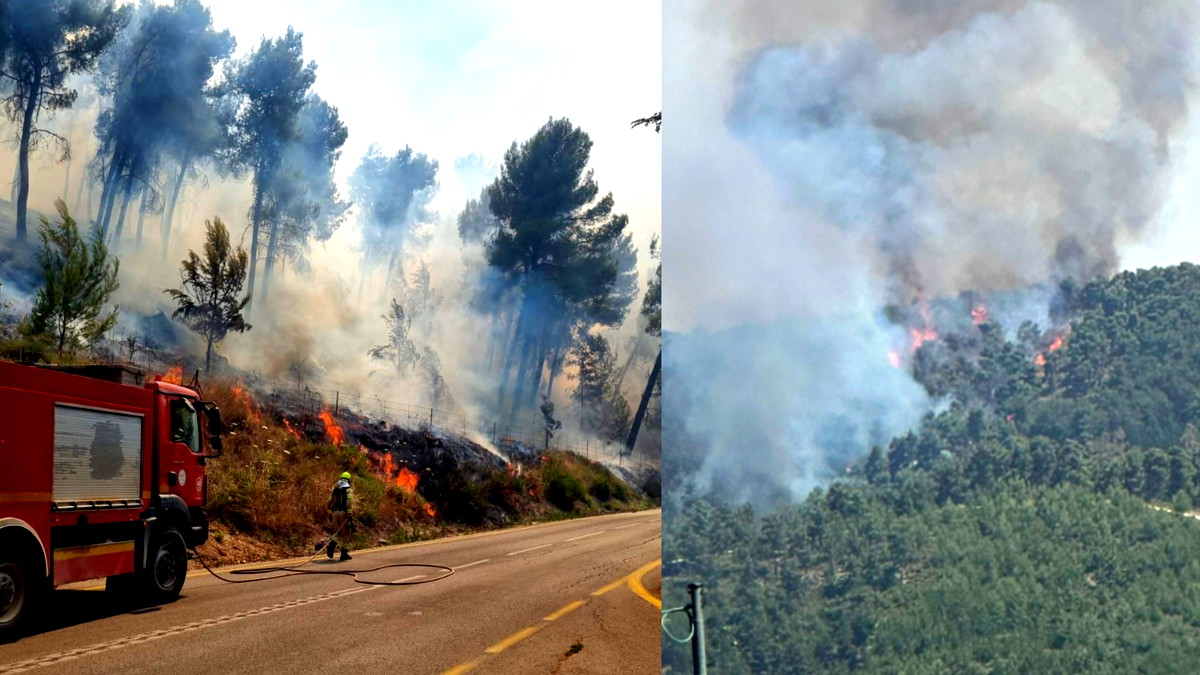 عشرات الطواقم من سلطة الإطفاء والإنقاذ تعمل على إخماد الحرائق في صفد ومنطقة الجولان... رصد إطلاق 40 صاروخًا في الساعة الأخيرة