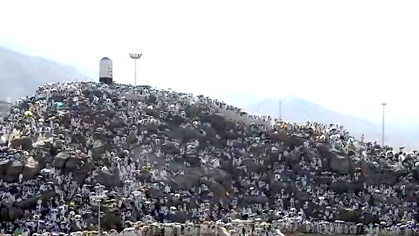 منذ ساعات الصّباح الأولى- ضيوف الرحمن يتوجهون إلى صعيد عرفات لتأدية ركن الحج الأعظم